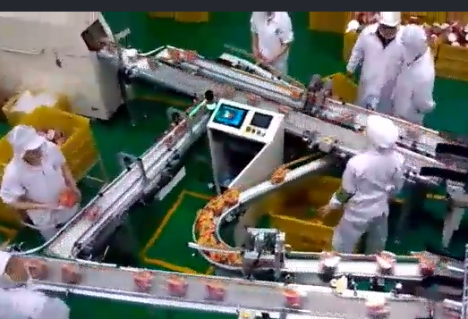 當輸送帶出現(xiàn)跑偏后，怎么辦？